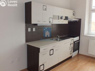 Pronájem bytu 2+1 Plzeň, Barrandova č. 1