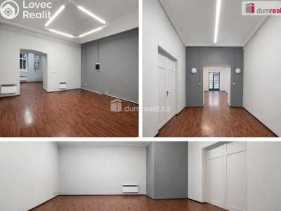 Rent commercial space Praha 5, Lidická č. 4