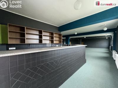 Rent commercial space Dubňany, Horní huť č. 3