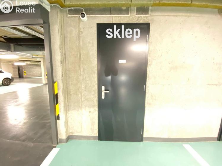 Pronájem bytu 1+KK Praha, Kobrova 3331/1 č. 29