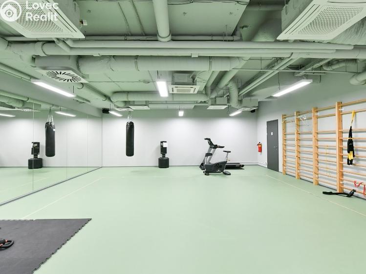 Pronájem bytu 1+KK Praha, Kobrova 3331/1 č. 36