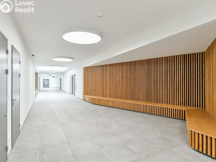 Pronájem bytu 1+KK Praha, Kobrova 3331/1 č. 38