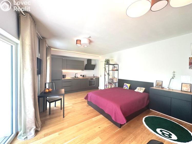 Аренда квартиры 1+KK Praha, Kobrova 3331/1 č. 10