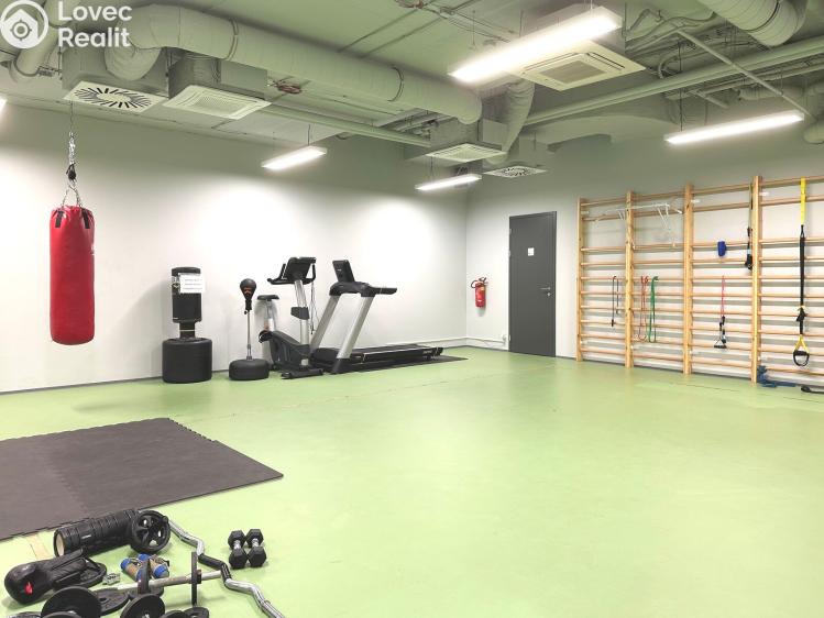 Аренда квартиры 1+KK Praha, Kobrova 3331/1 č. 17