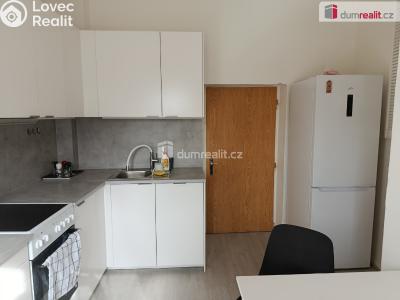 Pronájem bytu 2+1 Praha 6, Jenečská č. 4