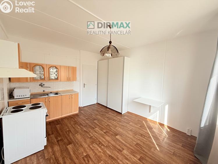 Pronájem bytu 1+KK Plzeň, Lesní č. 2