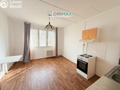 Pronájem bytu 1+KK Plzeň, Lesní č. 1