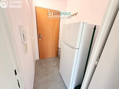 Pronájem bytu 1+KK Plzeň, Lesní č. 4