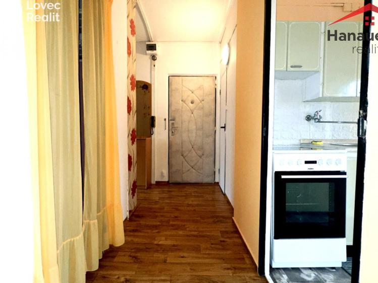 Pronájem bytu 2+1 Ústí nad Labem, Svojsíkova č. 8