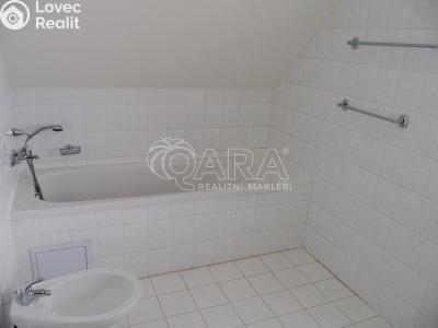 Аренда семейного дома Hluboká nad Vltavou, Janáčkova 985 č. 10