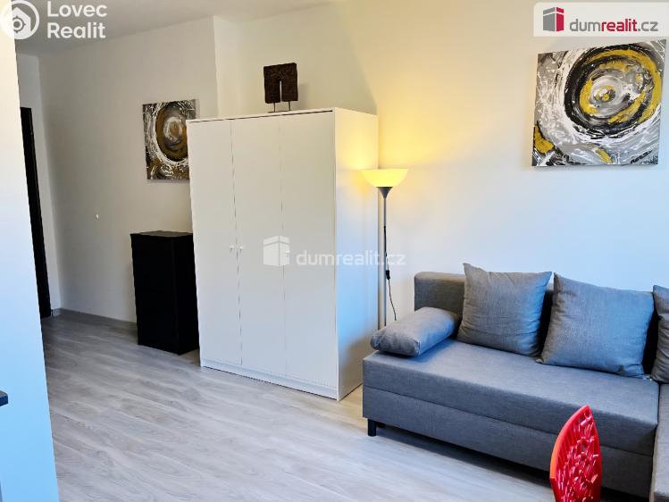 Pronájem bytu 1+KK Kačice, K zahradě č. 3