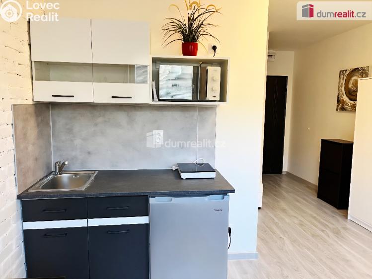 Pronájem bytu 1+KK Kačice, K zahradě č. 6