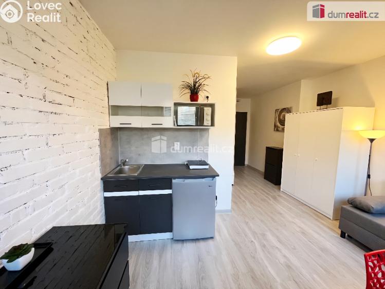 Pronájem bytu 1+KK Kačice, K zahradě č. 7