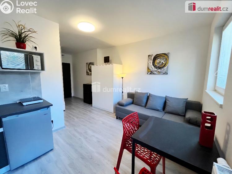 Pronájem bytu 1+KK Kačice, K zahradě č. 8