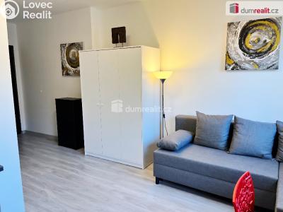 Pronájem bytu 1+KK Kačice, K zahradě č. 3