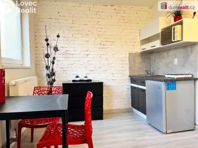 Pronájem bytu 1+KK Kačice, K zahradě č. 5