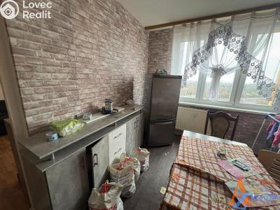 Prodej bytu 1+1 Chomutov, Kamenná 5092 č. 4