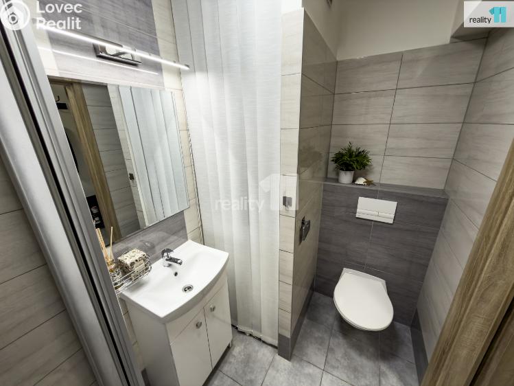 Prodej bytu 3+KK Lošany č. 21