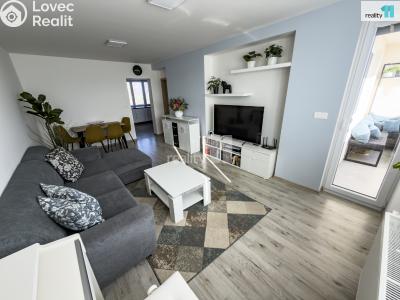 Prodej bytu 3+KK Lošany č. 3