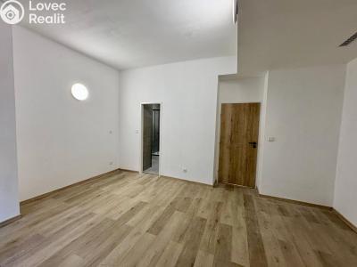 Продажа квартиры 1+1 Praha, 5. května č. 4