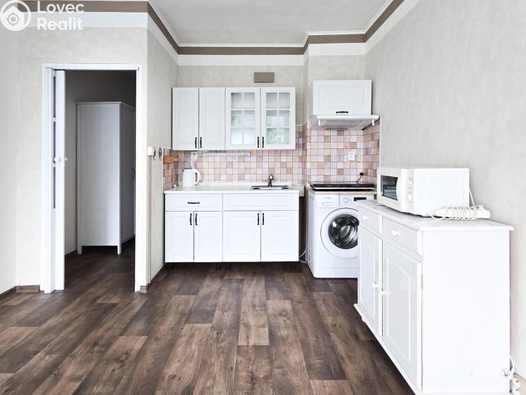 Pronájem bytu 1+KK Děčín, Žerotínova 354/42 č. 1