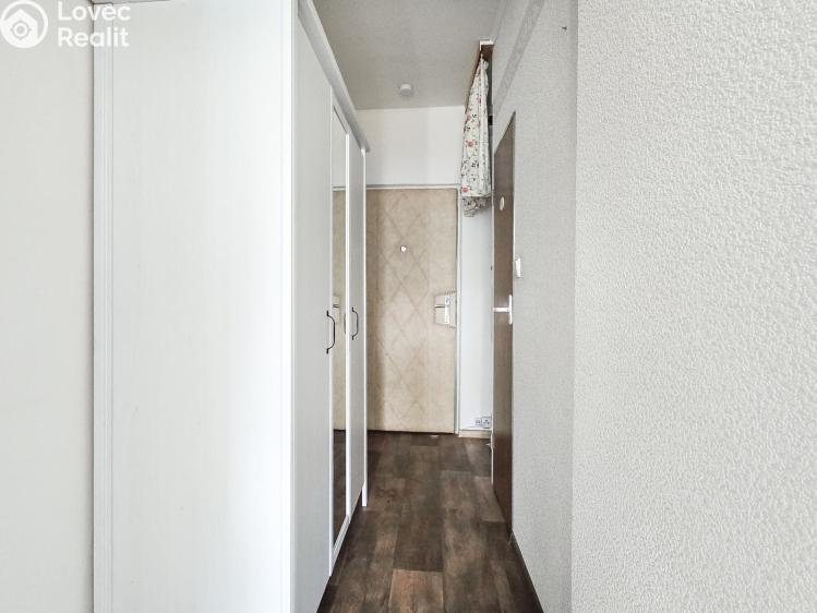 Pronájem bytu 1+KK Děčín, Žerotínova 354/42 č. 4