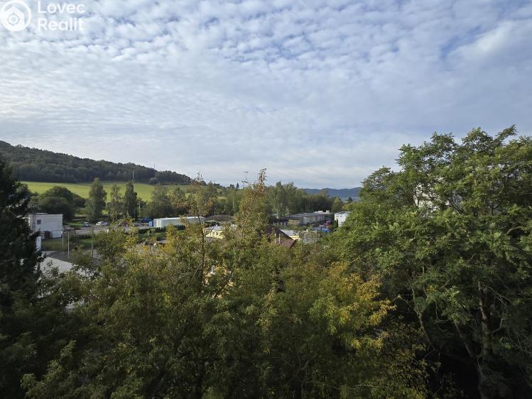 Pronájem bytu 1+KK Děčín, Žerotínova 354/42 č. 7