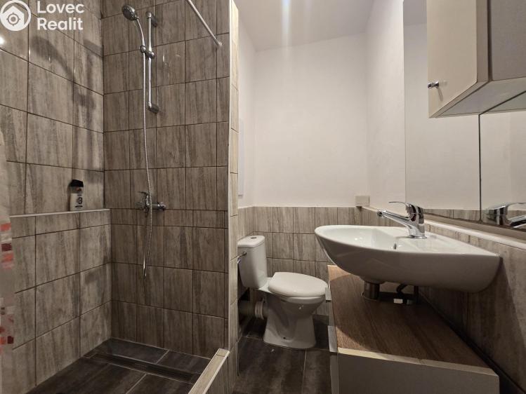 Pronájem bytu 1+1 Krupka, Karla Čapka 245 č. 3