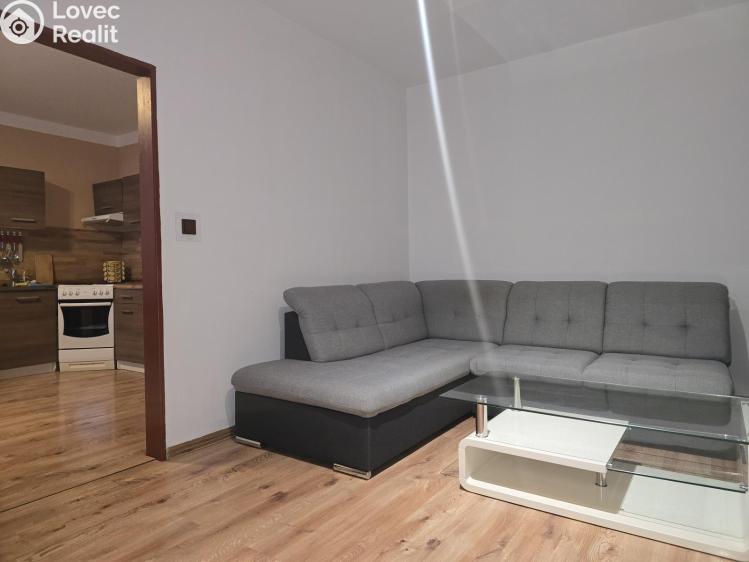 Pronájem bytu 1+1 Krupka, Karla Čapka 245 č. 8