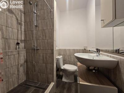 Pronájem bytu 1+1 Krupka, Karla Čapka 245 č. 3