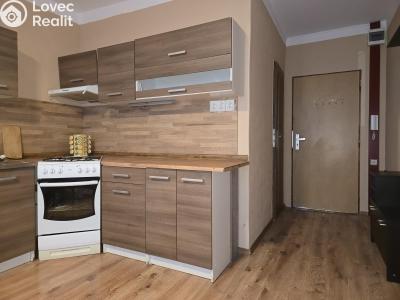 Pronájem bytu 1+1 Krupka, Karla Čapka 245 č. 5