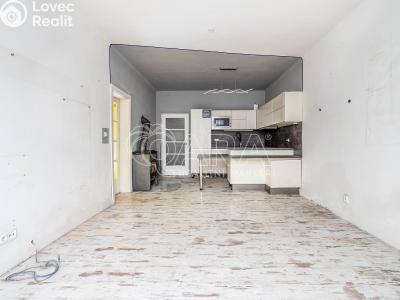 Продажа семейного дома Třebovle č. 5