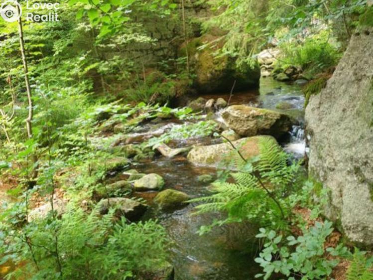 Продажа семейного дома Desná, Riedlova č. 15