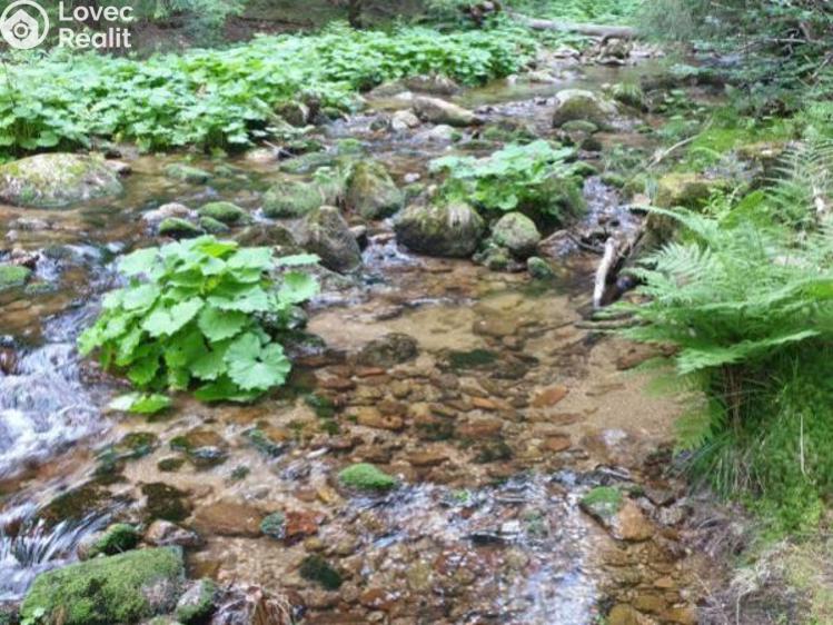 Продажа семейного дома Desná, Riedlova č. 21