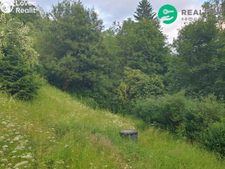 Продаж сімейного будинку Desná, Riedlova č. 11