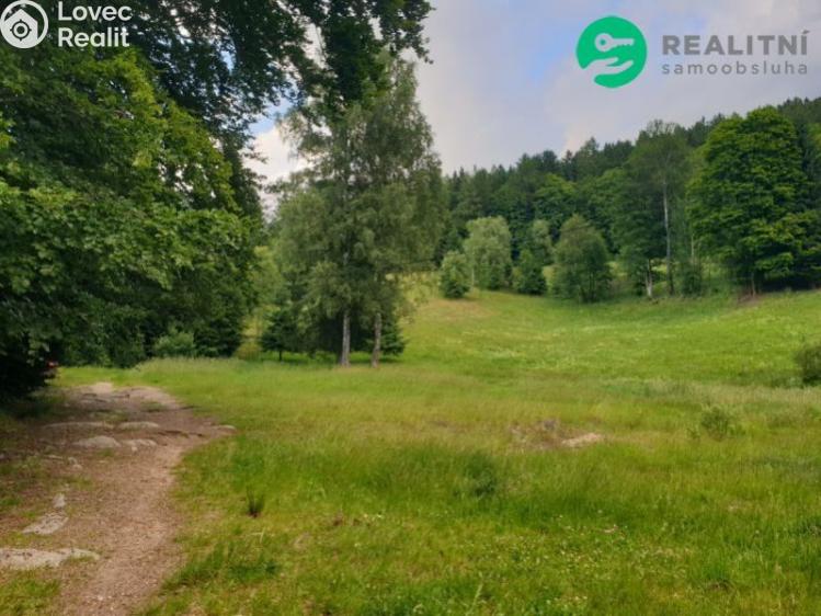 Продаж сімейного будинку Desná, Riedlova č. 15