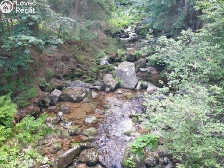 Продаж сімейного будинку Desná, Riedlova č. 19