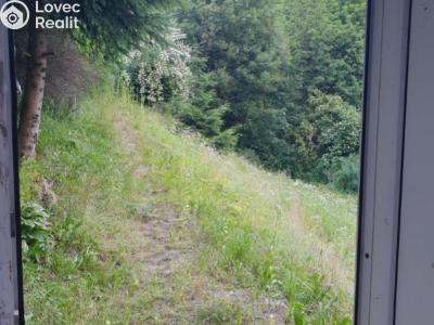 Продажа семейного дома Desná, Riedlova č. 4