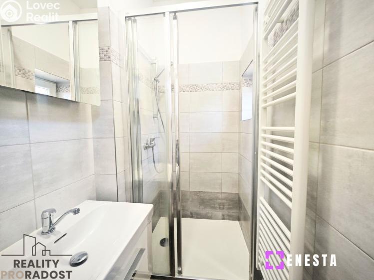 Rent apartment 1+1 Praha, Boleslavova 416/40 č. 8