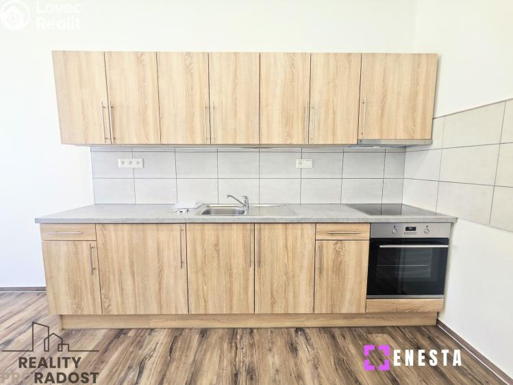Pronájem bytu 1+1 Praha, Boleslavova 416/40 č. 4
