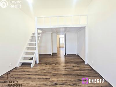 Pronájem bytu 1+1 Praha, Boleslavova č. 1