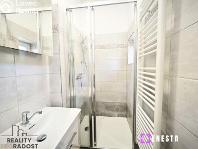 Rent apartment 1+1 Praha, Boleslavova č. 8