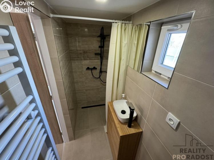 Pronájem bytu 2+1 Dolní Bojanovice, Mlýnská 530 č. 9