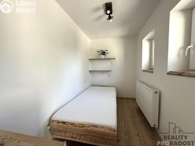 Rent apartment 2+1 Dolní Bojanovice, Mlýnská 530 č. 7