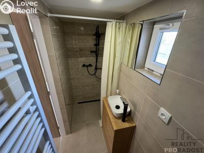 Rent apartment 2+1 Dolní Bojanovice, Mlýnská 530 č. 9