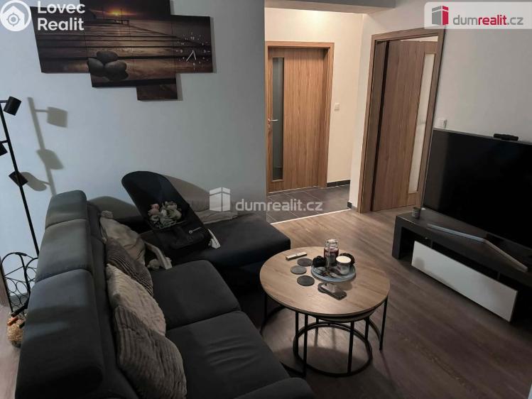 Pronájem bytu 3+KK České Budějovice, Plukovníka Malého č. 2