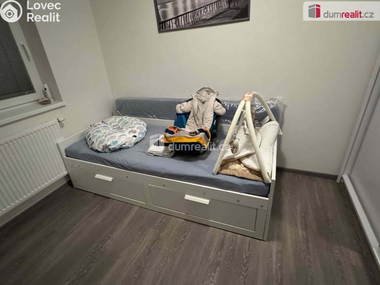 Pronájem bytu 3+KK České Budějovice, Plukovníka Malého č. 6