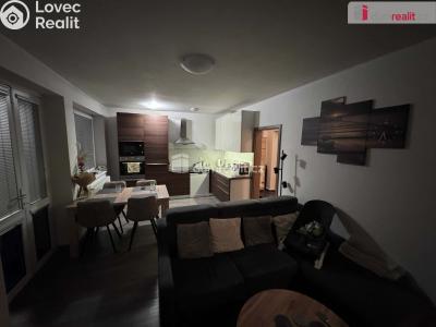 Pronájem bytu 3+KK České Budějovice, Plukovníka Malého č. 1