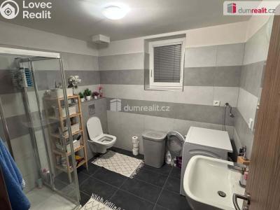 Pronájem bytu 3+KK České Budějovice, Plukovníka Malého č. 4