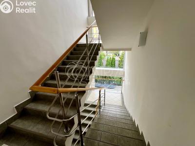 Оренда офісного приміщення Praha, Nová cesta č. 6